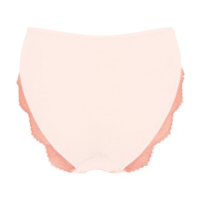 1466_Anya Brief_EC2
